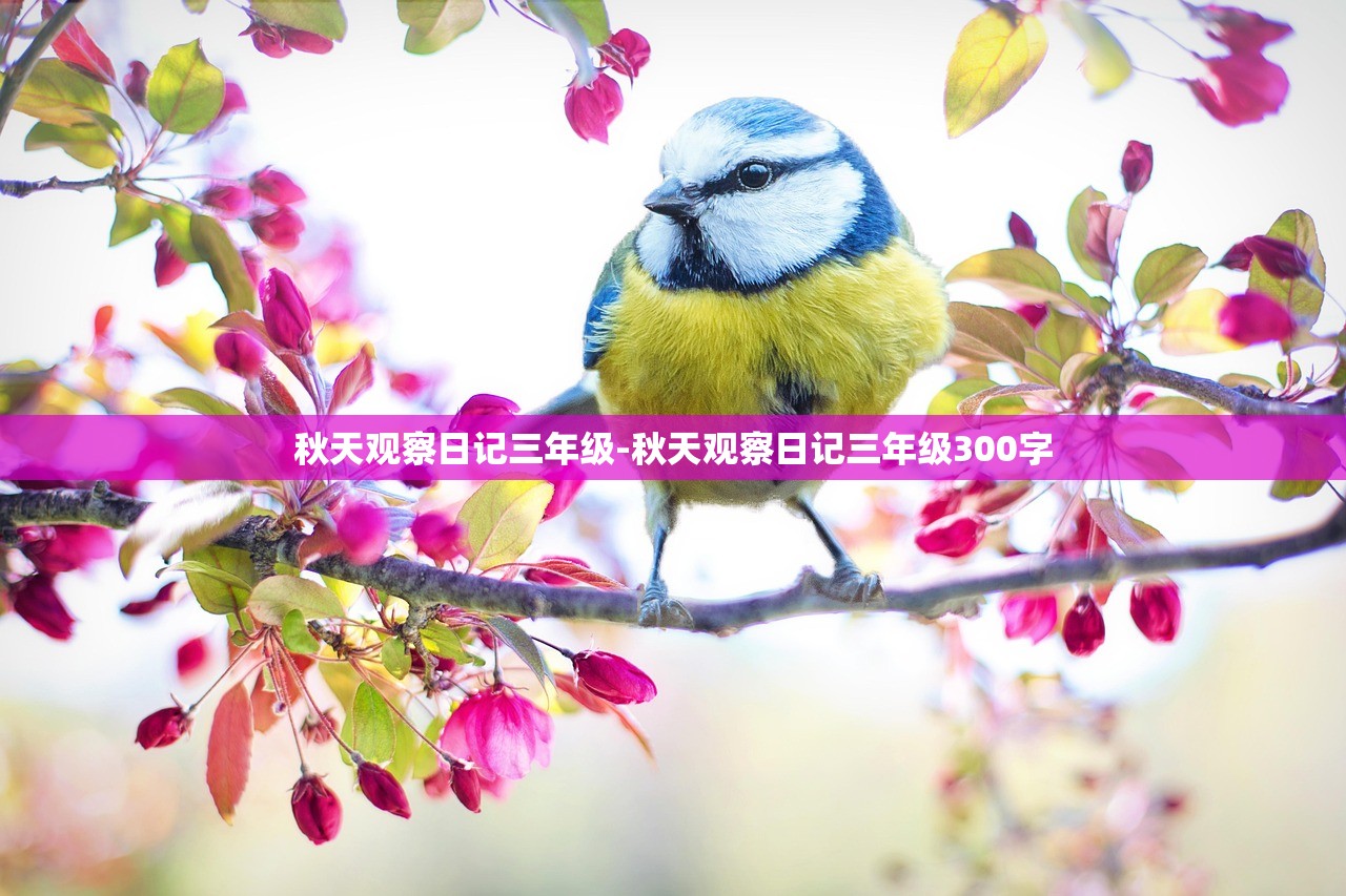 秋天观察日记三年级-秋天观察日记三年级300字