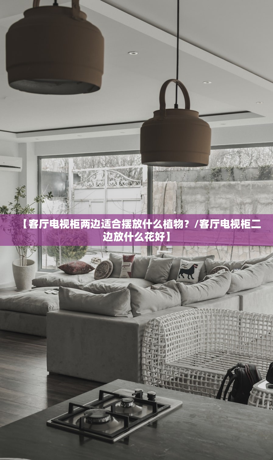 【客厅电视柜两边适合摆放什么植物？/客厅电视柜二边放什么花好】