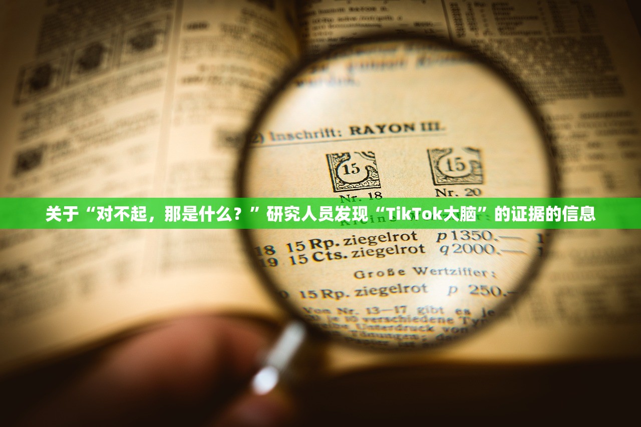 关于“对不起	，那是什么？”研究人员发现“TikTok大脑”的证据的信息