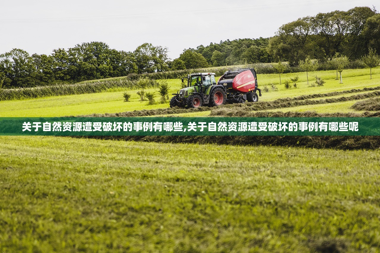 关于自然资源遭受破坏的事例有哪些,关于自然资源遭受破坏的事例有哪些呢 关于自然资源遭受破坏的事例有哪些,关于自然资源遭受破坏的事例有哪些呢