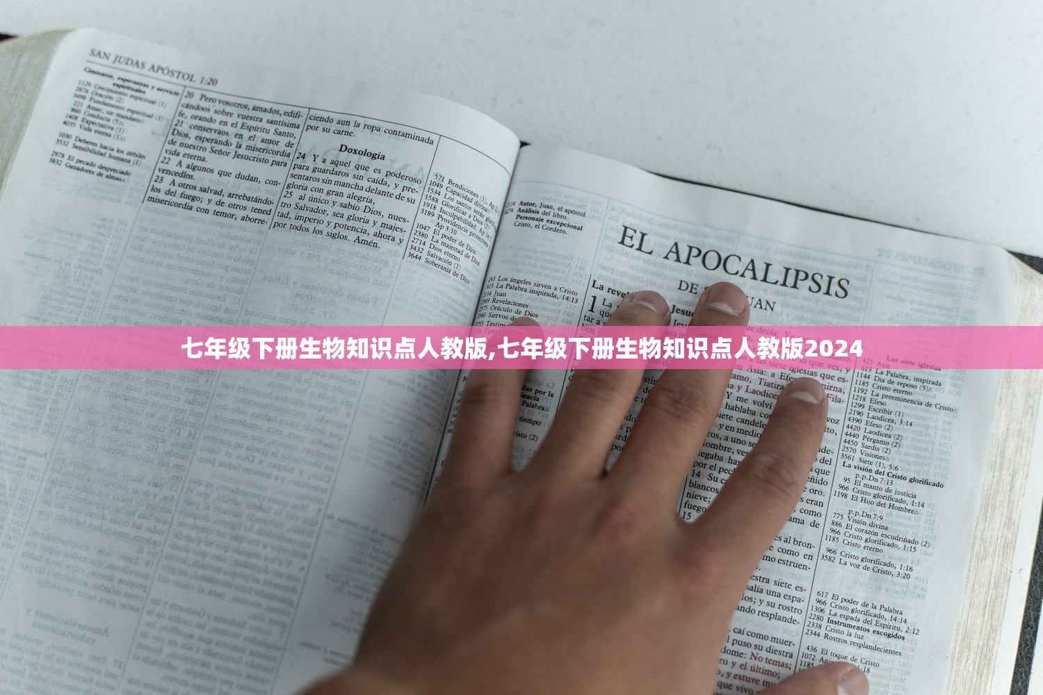 七年级下册生物知识点人教版,七年级下册生物知识点人教版2024 七年级下册生物知识点人教版,七年级下册生物知识点人教版2024
