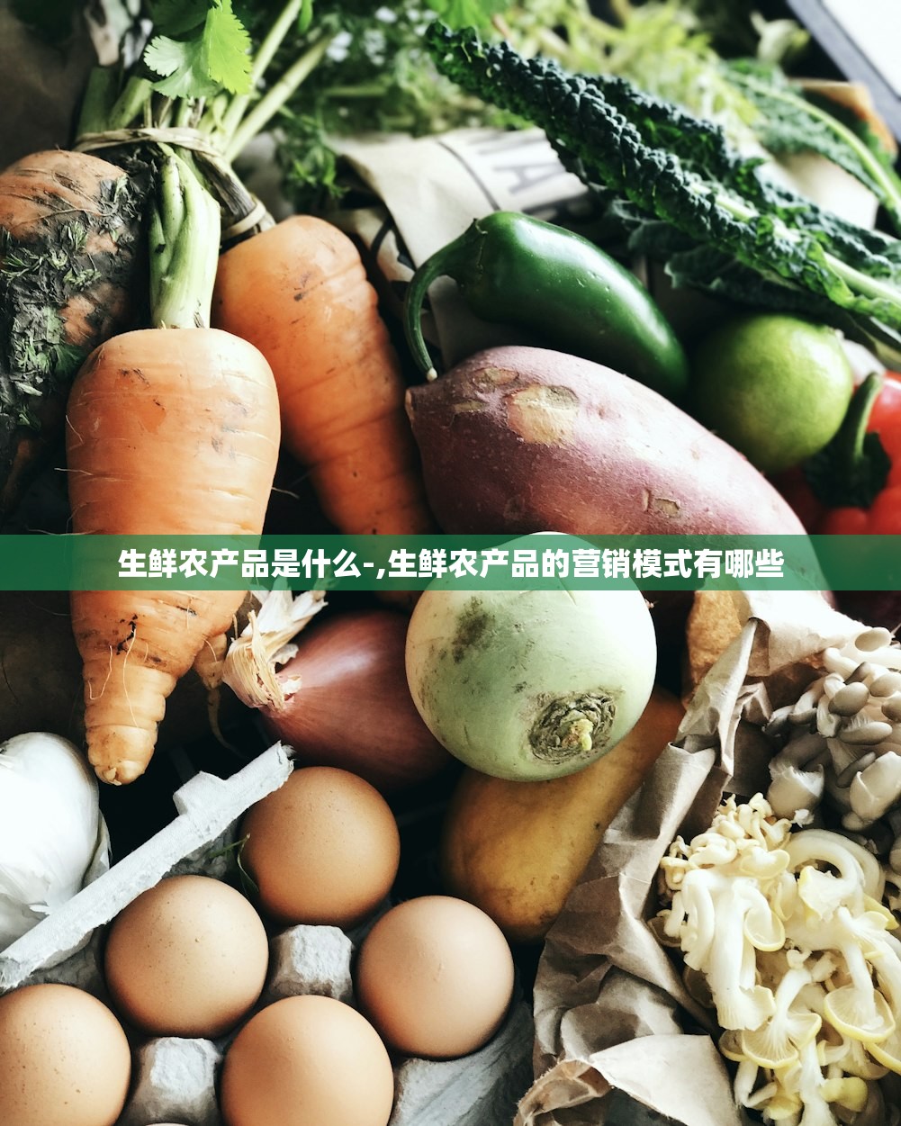 生鲜农产品是什么-,生鲜农产品的营销模式有哪些