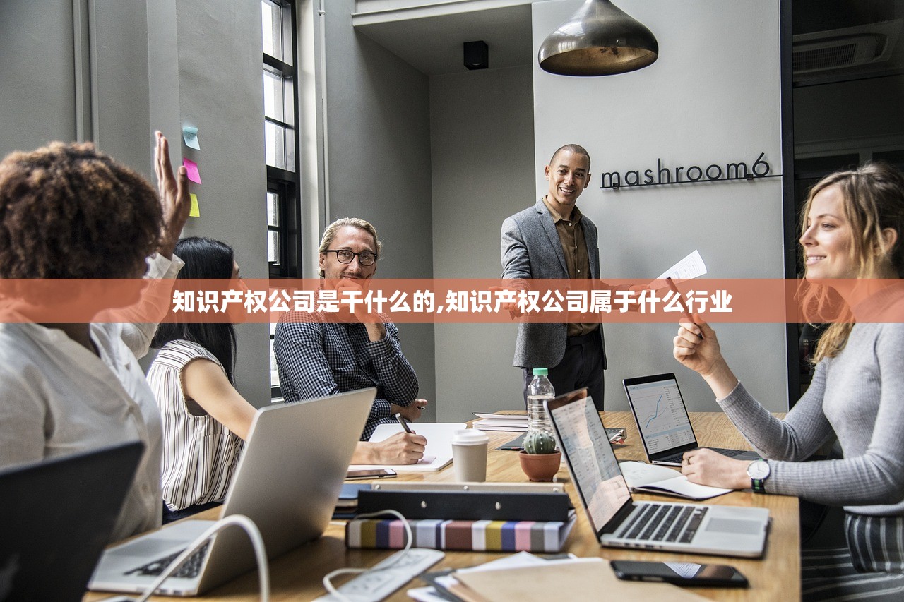 知识产权公司是干什么的,知识产权公司属于什么行业