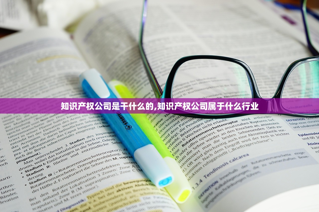 知识产权公司是干什么的,知识产权公司属于什么行业
