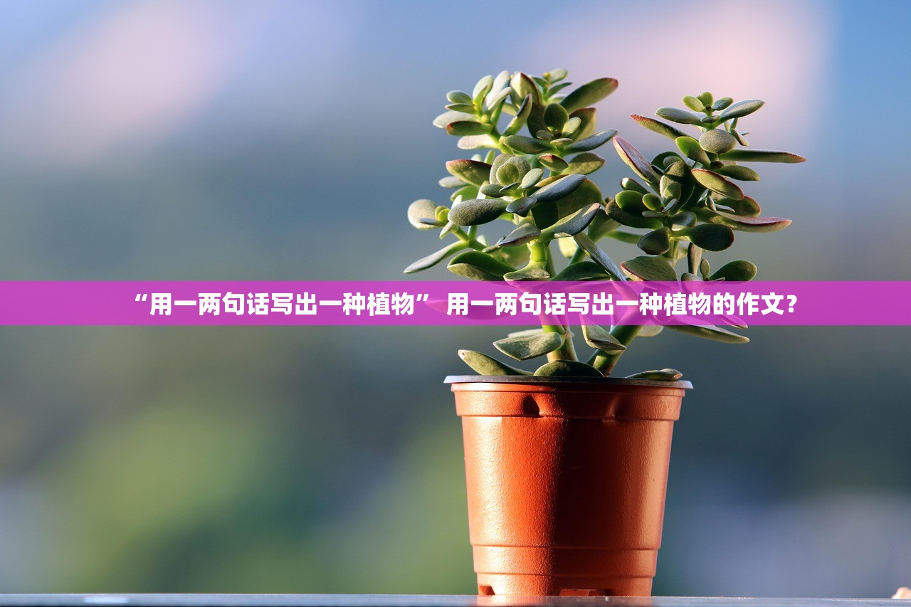 “用一两句话写出一种植物” 用一两句话写出一种植物的作文？