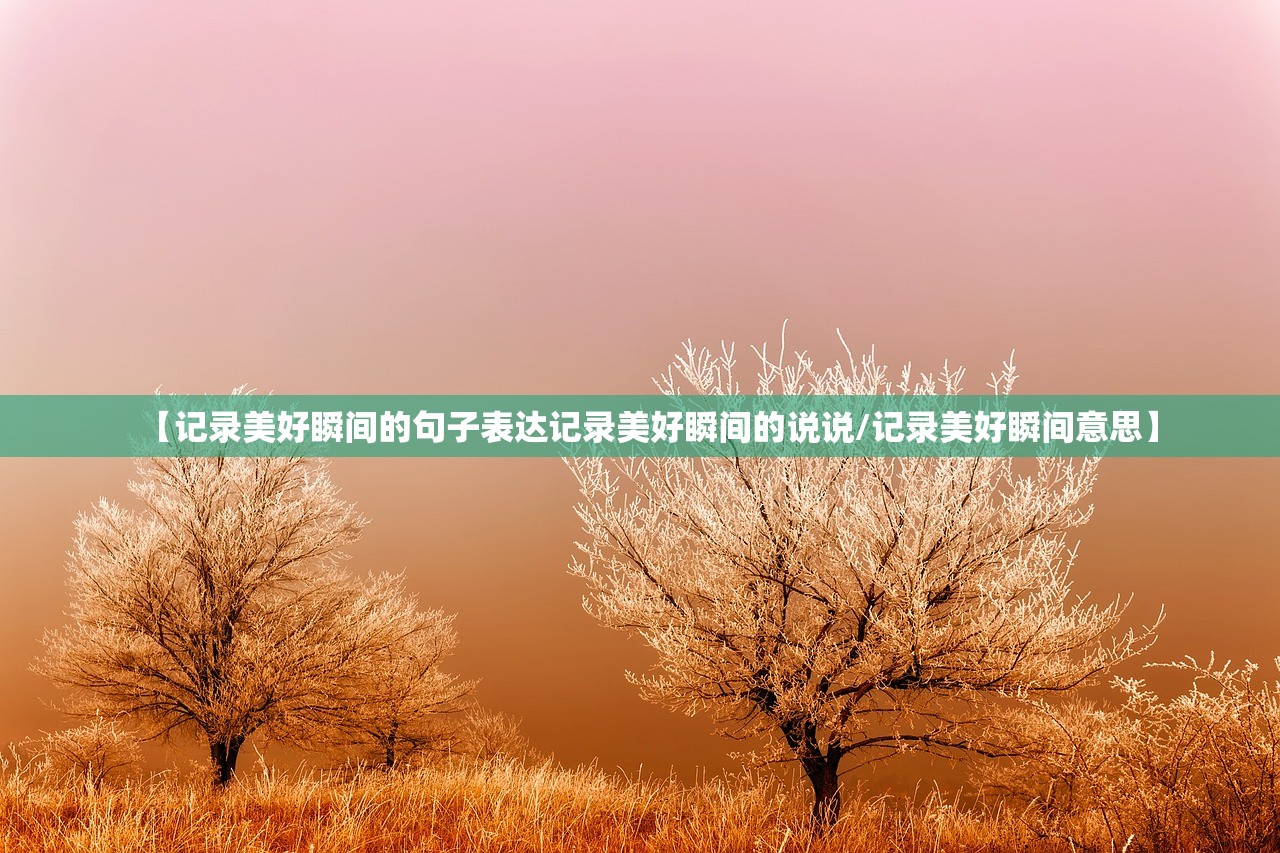 【记录美好瞬间的句子表达记录美好瞬间的说说/记录美好瞬间意思】