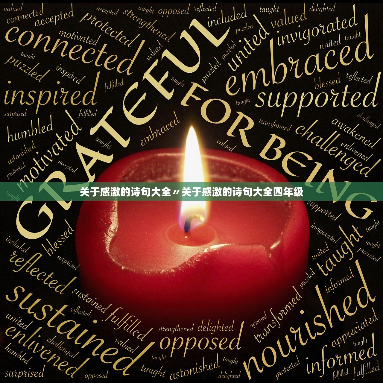 关于感激的诗句大全〃关于感激的诗句大全四年级 关于感激的诗句大全〃关于感激的诗句大全四年级