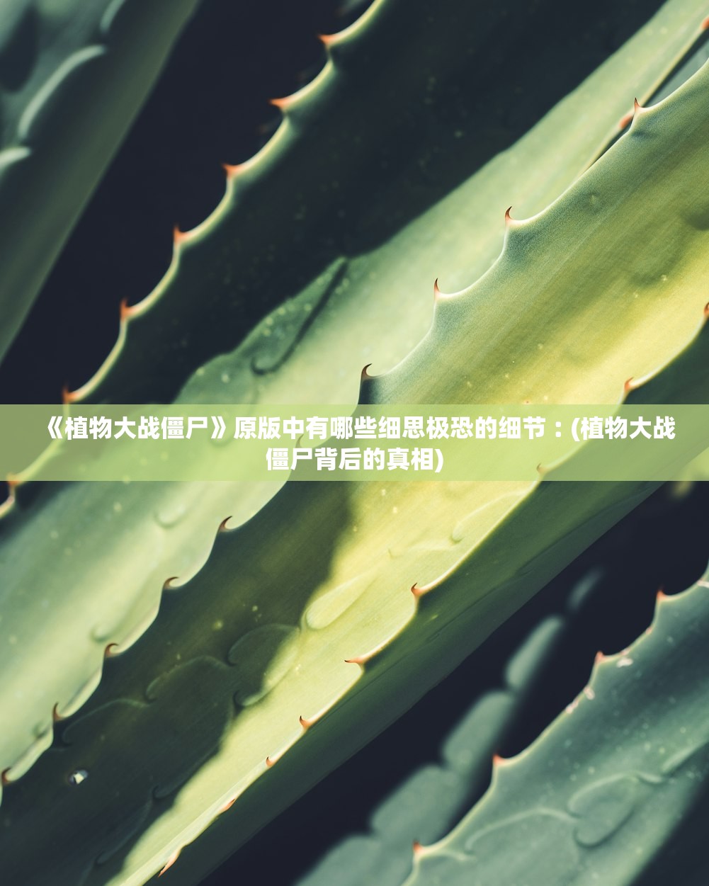 《植物大战僵尸》原版中有哪些细思极恐的细节︰(植物大战僵尸背后的真相) 《植物大战僵尸》原版中有哪些细思极恐的细节︰(植物大战僵尸背后的真相)
