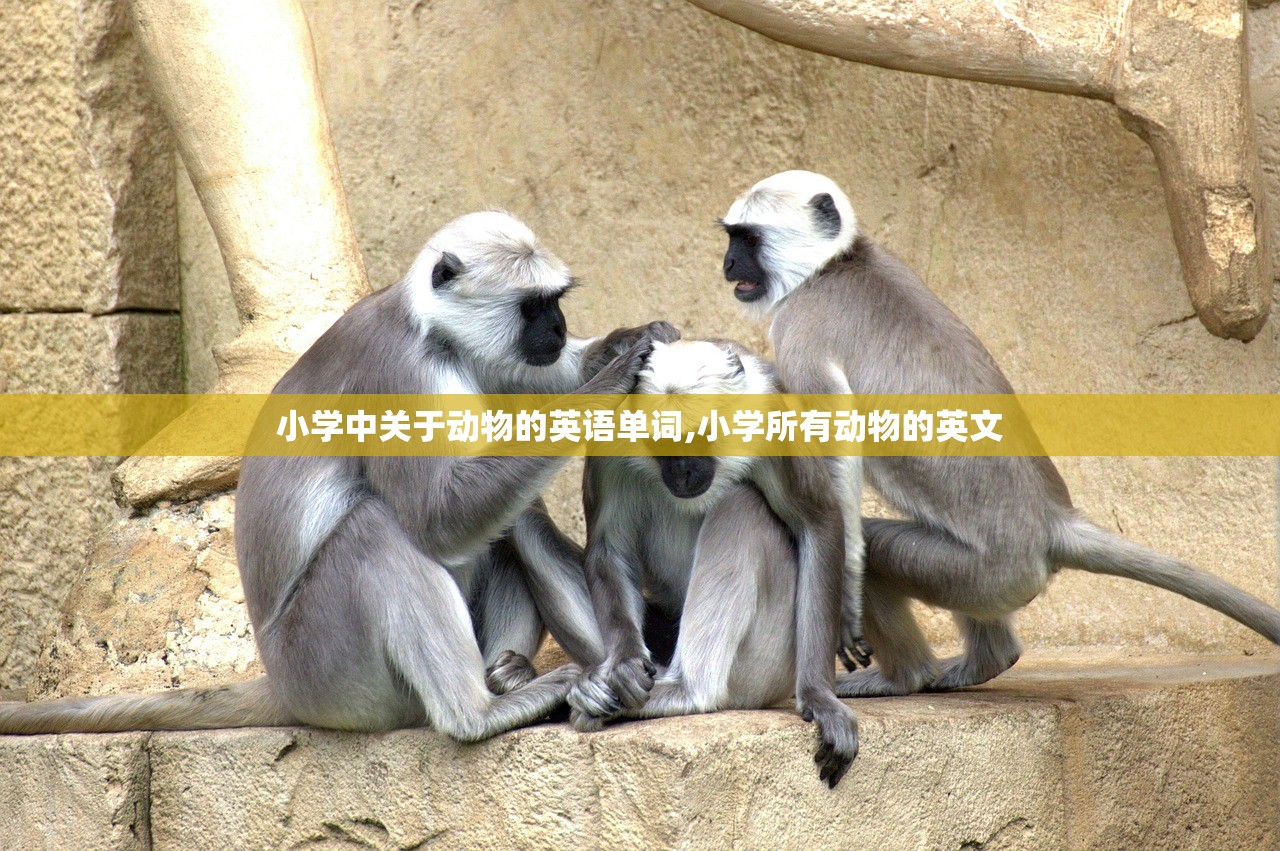 小学中关于动物的英语单词,小学所有动物的英文