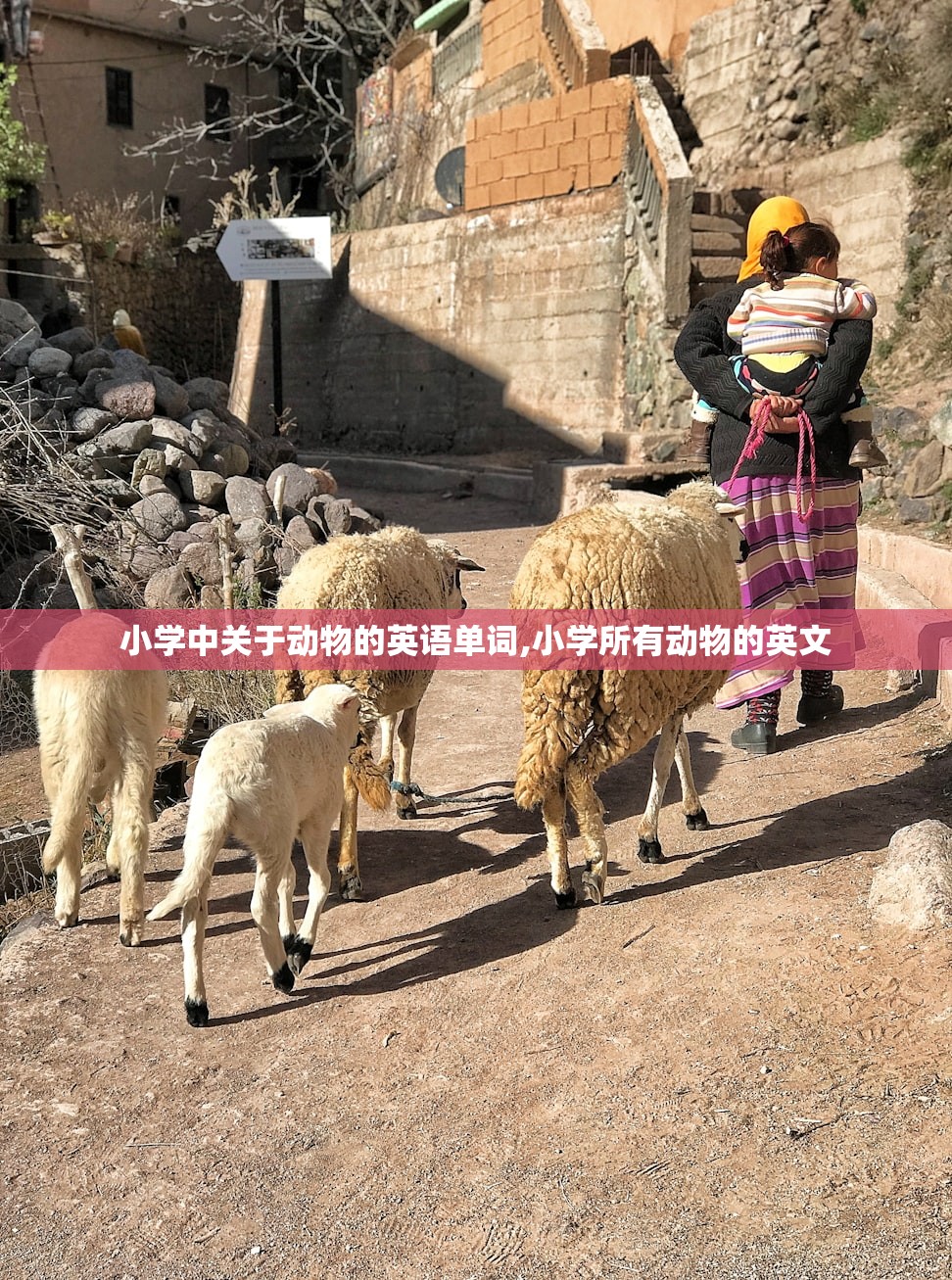 小学中关于动物的英语单词,小学所有动物的英文