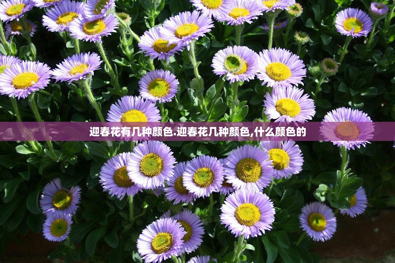 迎春花有几种颜色.迎春花几种颜色,什么颜色的 迎春花有几种颜色.迎春花几种颜色,什么颜色的