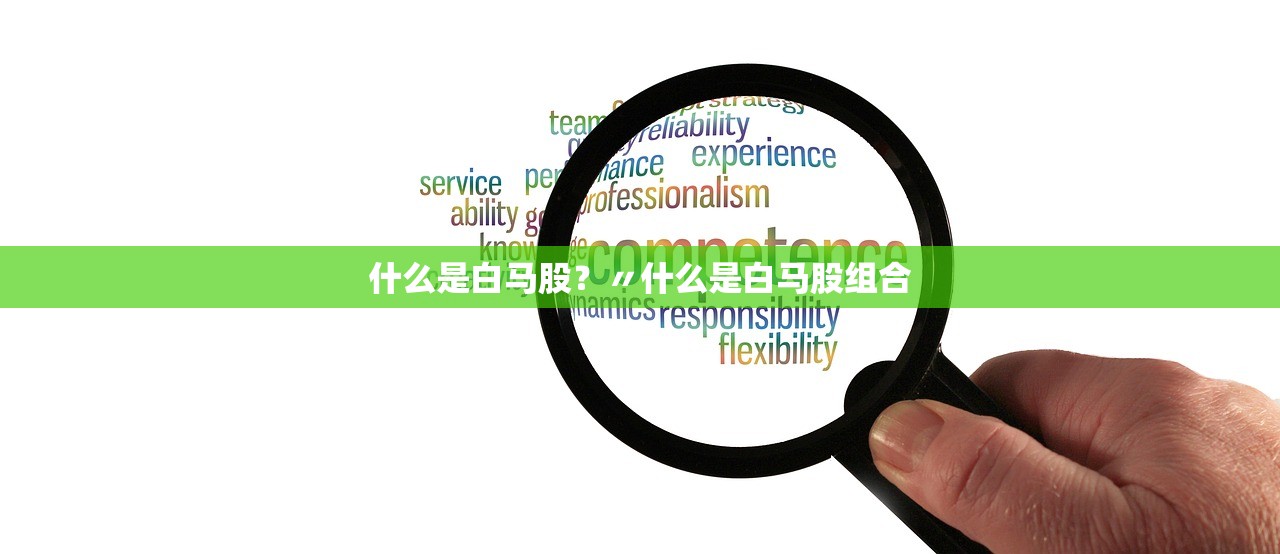 什么是白马股?〃什么是白马股组合 什么是白马股?〃什么是白马股组合