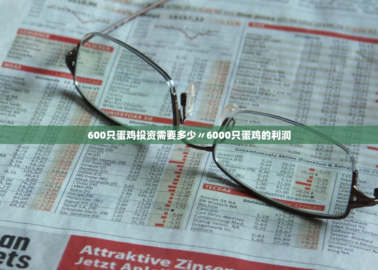 600只蛋鸡投资需要多少〃6000只蛋鸡的利润