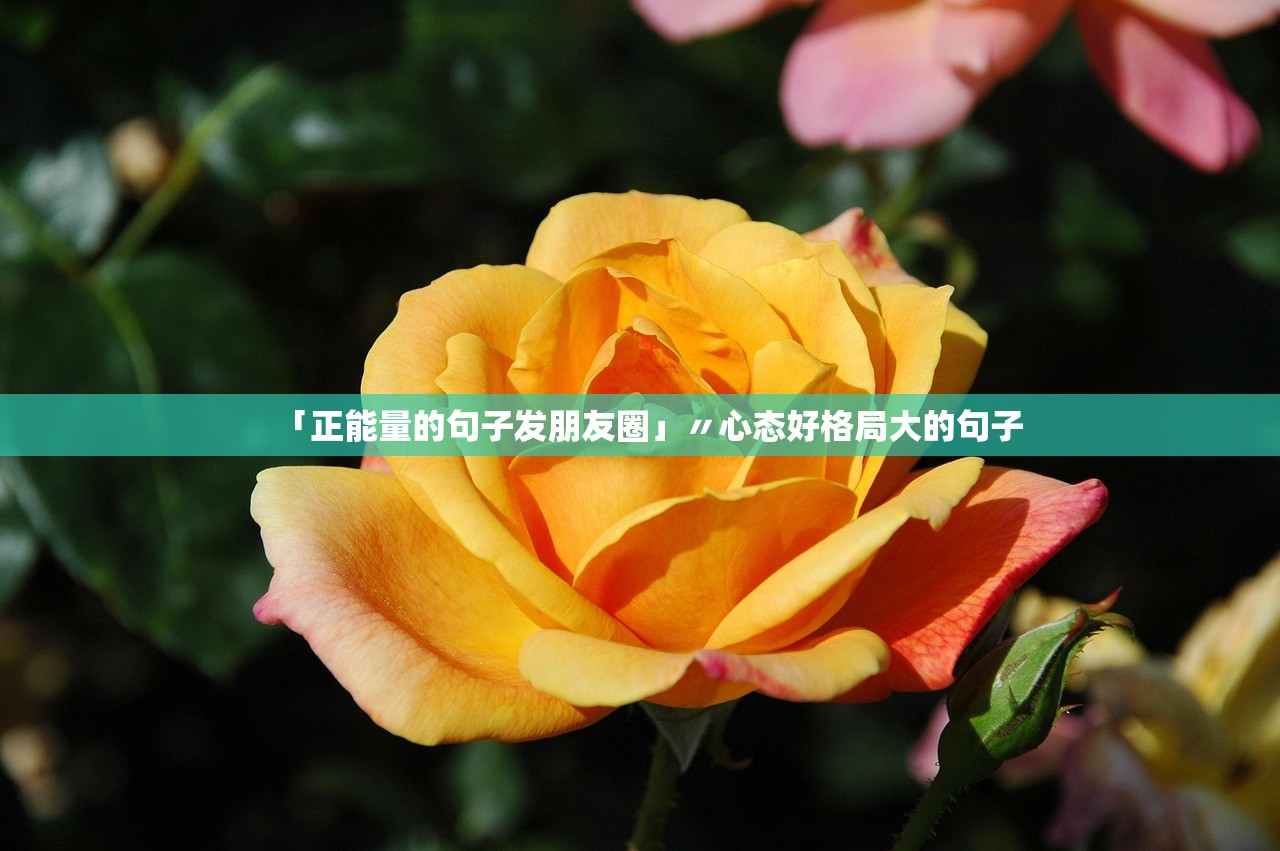 「正能量的句子发朋友圈」〃心态好格局大的句子
