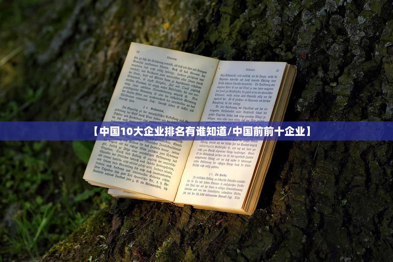 【中国10大企业排名有谁知道/中国前前十企业】