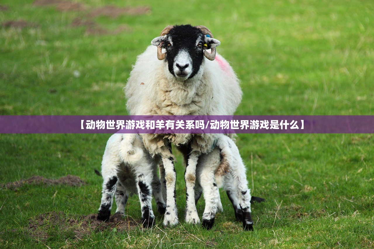 【动物世界游戏和羊有关系吗/动物世界游戏是什么】