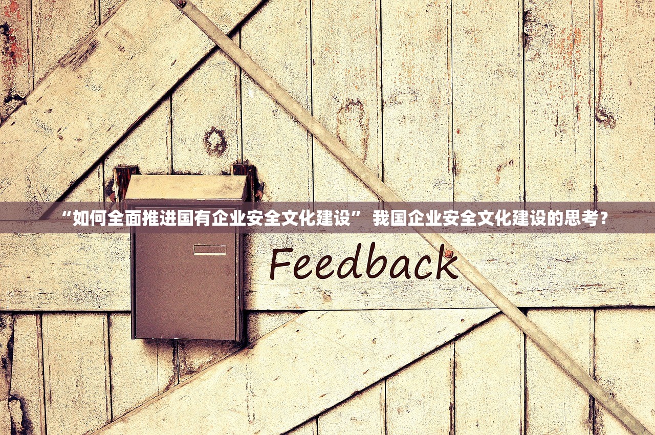 “如何全面推进国有企业安全文化建设” 我国企业安全文化建设的思考？