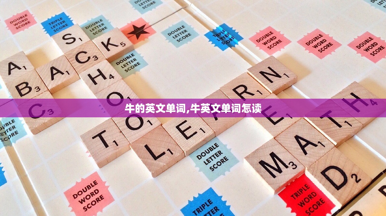 牛的英文单词,牛英文单词怎读