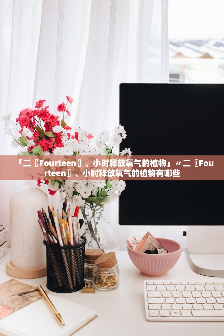 「二〖Fourteen〗、小时释放氧气的植物」〃二〖Fourteen〗	、小时释放氧气的植物有哪些