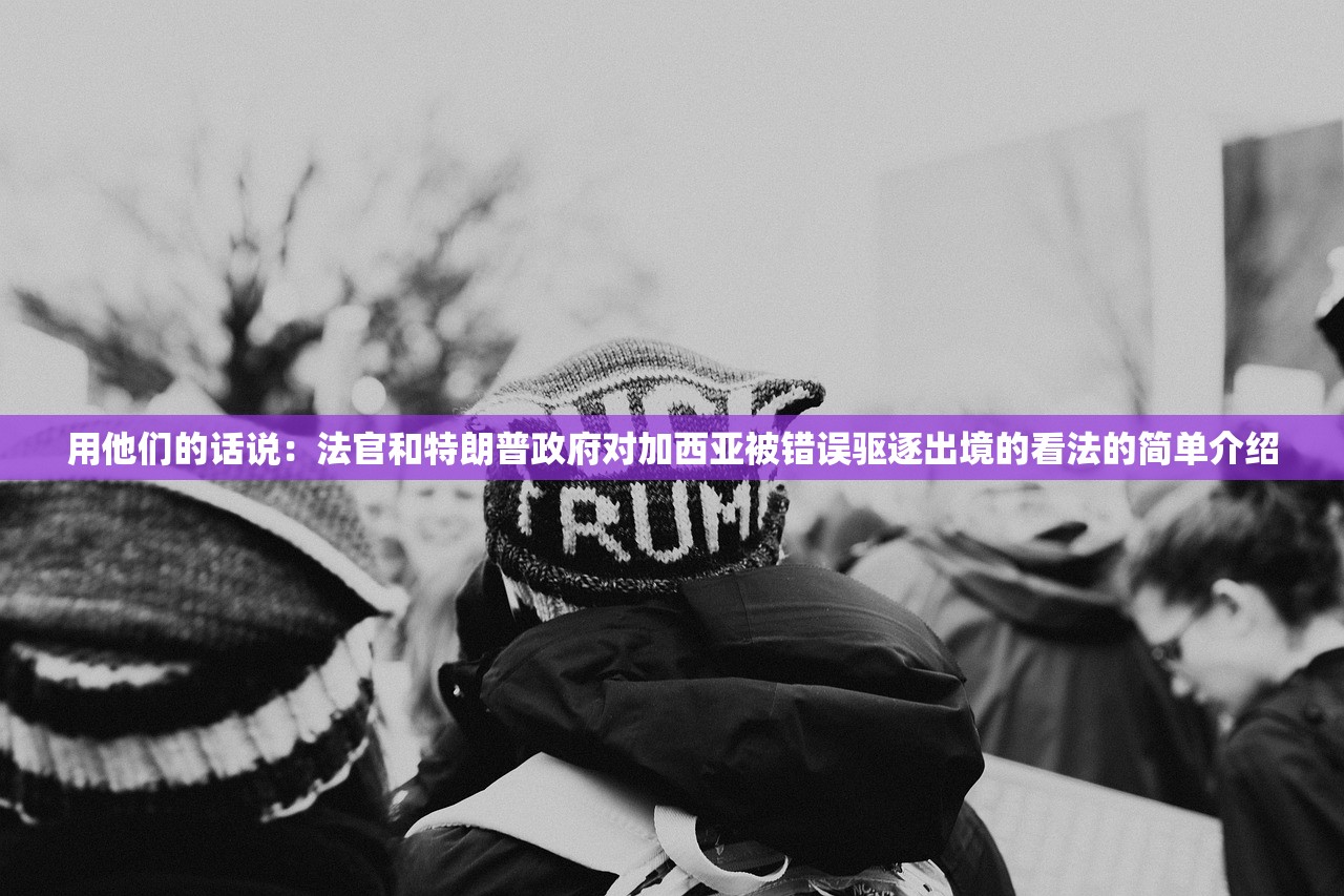 用他们的话说：法官和特朗普政府对加西亚被错误驱逐出境的看法的简单介绍