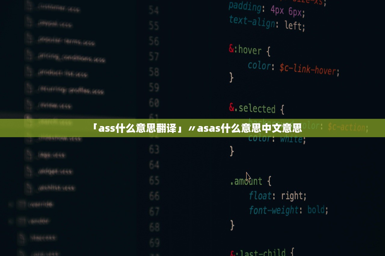 「ass什么意思翻译」〃asas什么意思中文意思