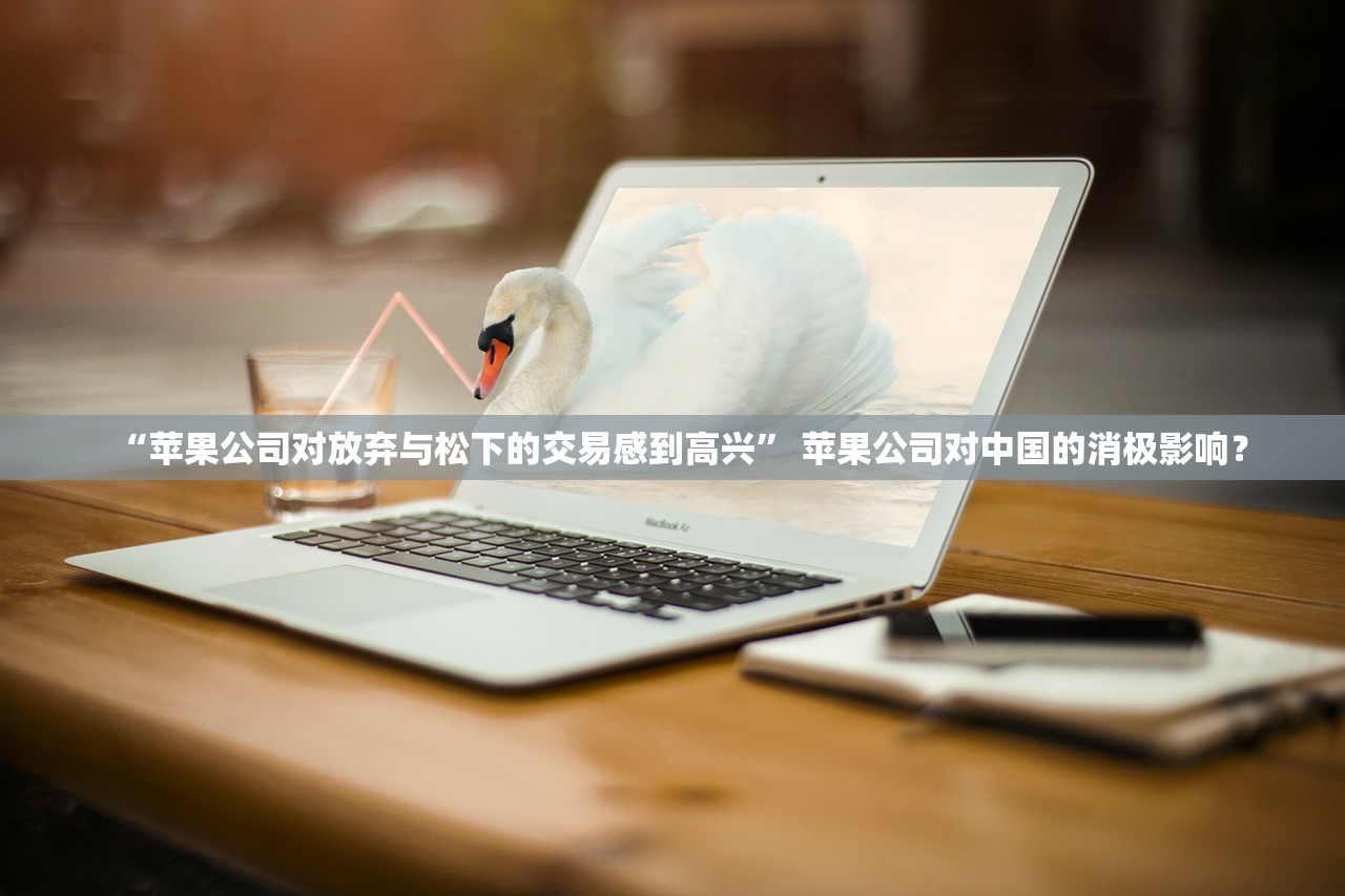 “苹果公司对放弃与松下的交易感到高兴	” 苹果公司对中国的消极影响？