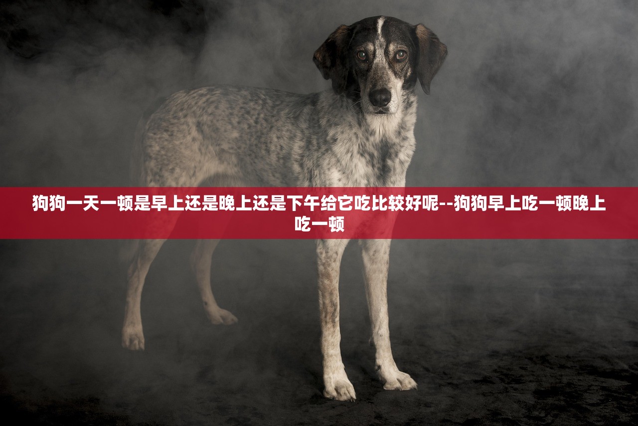 狗狗一天一顿是早上还是晚上还是下午给它吃比较好呢--狗狗早上吃一顿晚上吃一顿 狗狗一天一顿是早上还是晚上还是下午给它吃比较好呢--狗狗早上吃一顿晚上吃一顿