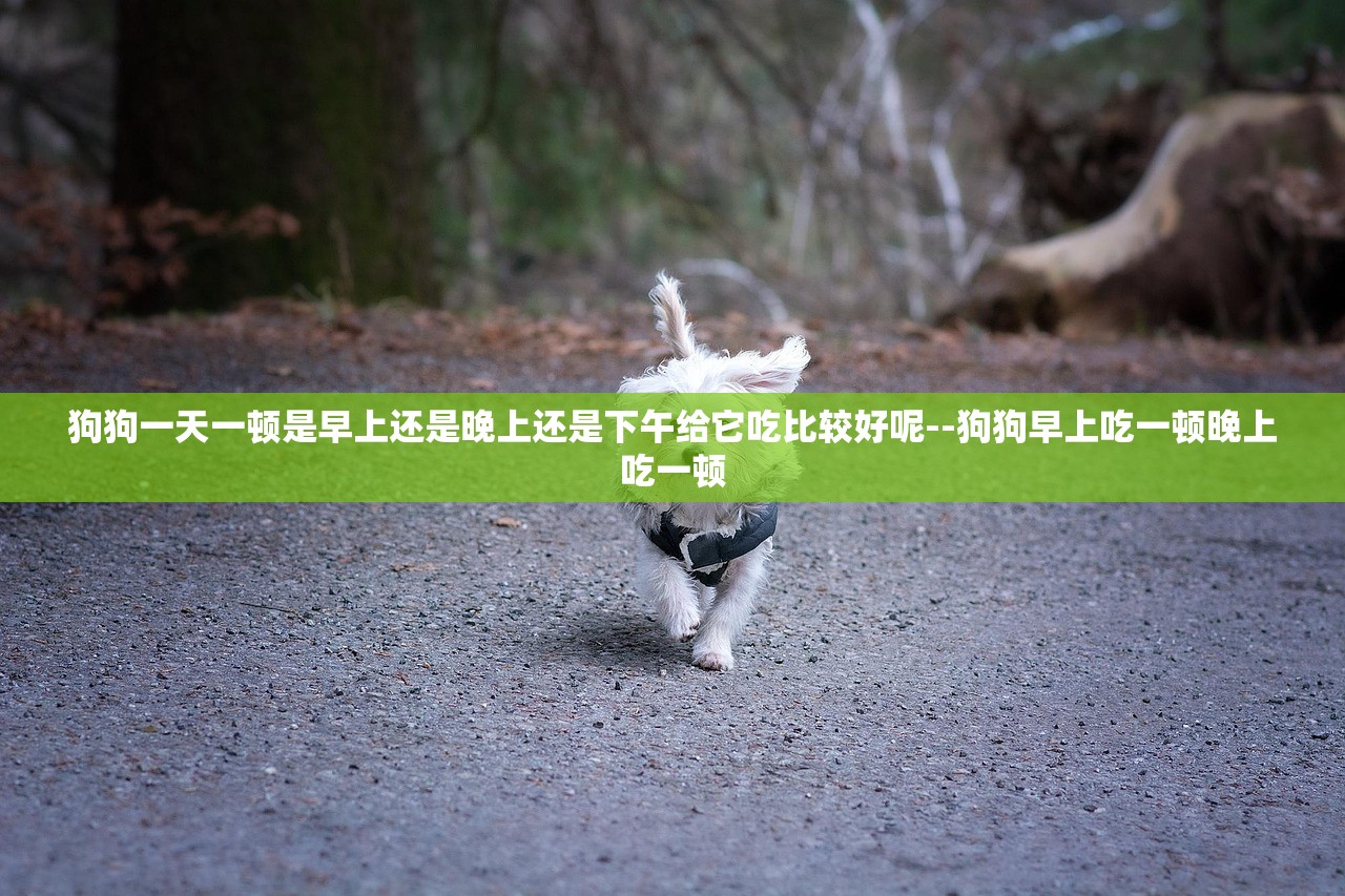 狗狗一天一顿是早上还是晚上还是下午给它吃比较好呢--狗狗早上吃一顿晚上吃一顿 狗狗一天一顿是早上还是晚上还是下午给它吃比较好呢--狗狗早上吃一顿晚上吃一顿