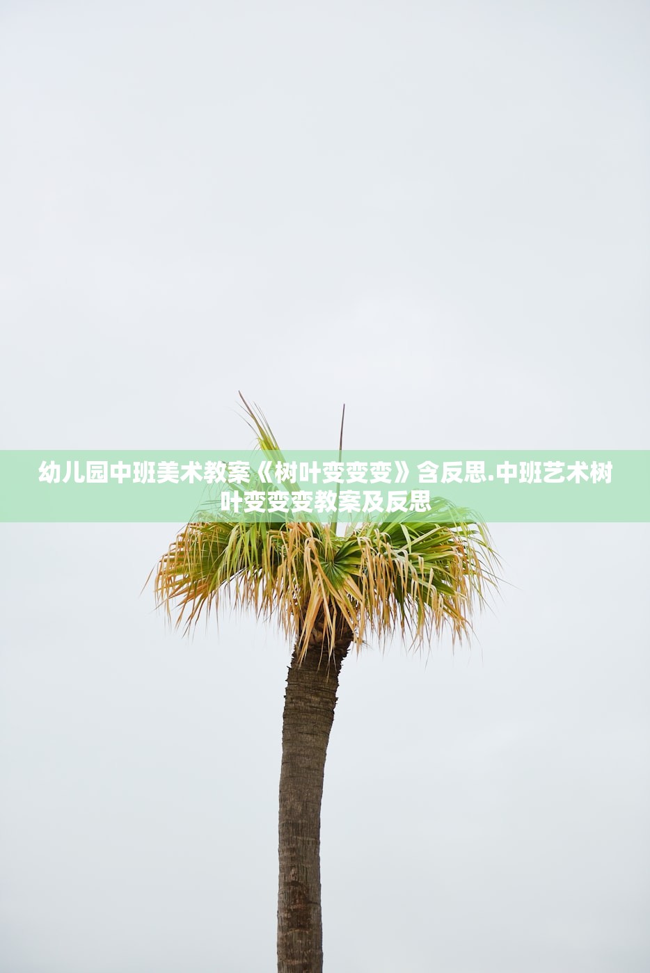 幼儿园中班美术教案《树叶变变变》含反思.中班艺术树叶变变变教案及反思