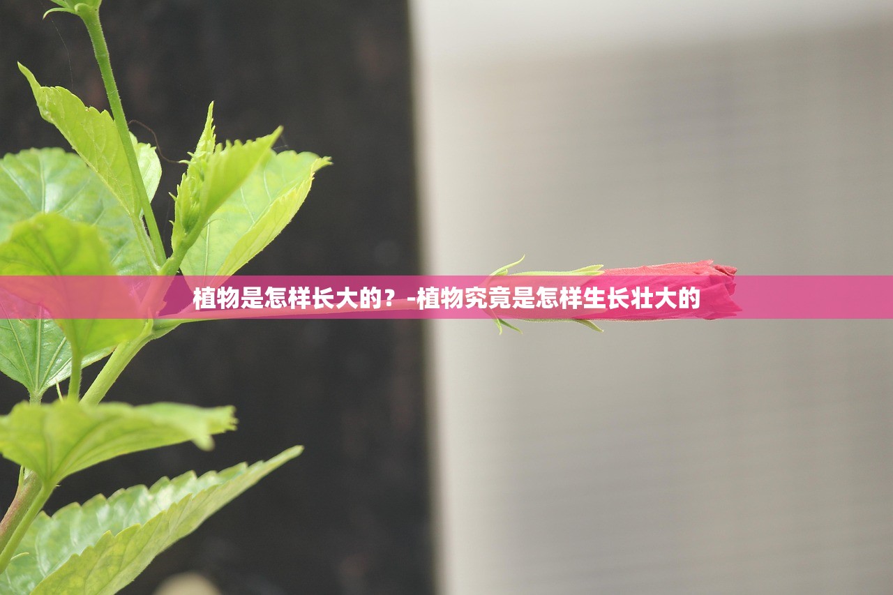 植物是怎样长大的？-植物究竟是怎样生长壮大的