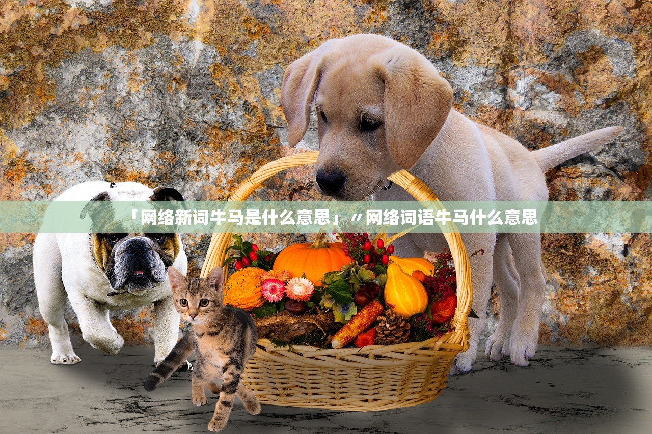 「网络新词牛马是什么意思」〃网络词语牛马什么意思