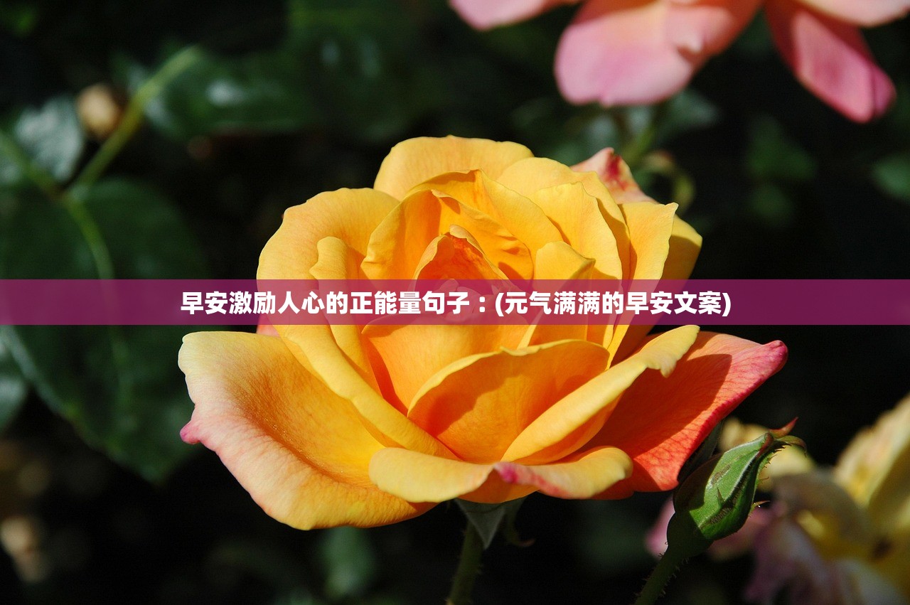 早安激励人心的正能量句子︰(元气满满的早安文案)