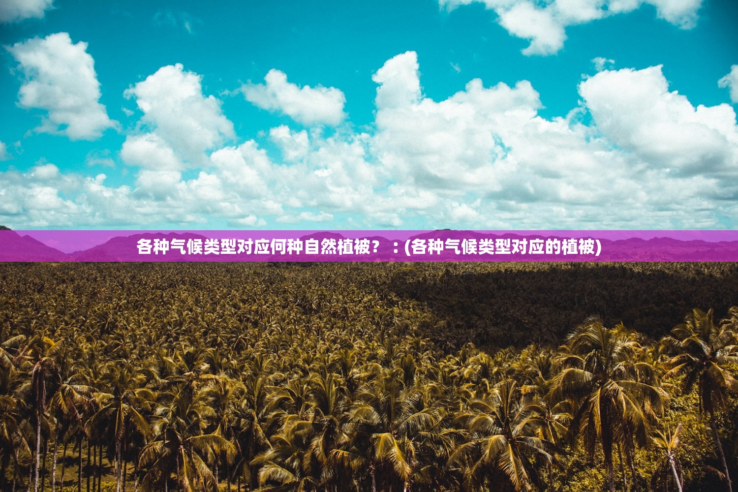 各种气候类型对应何种自然植被？︰(各种气候类型对应的植被)