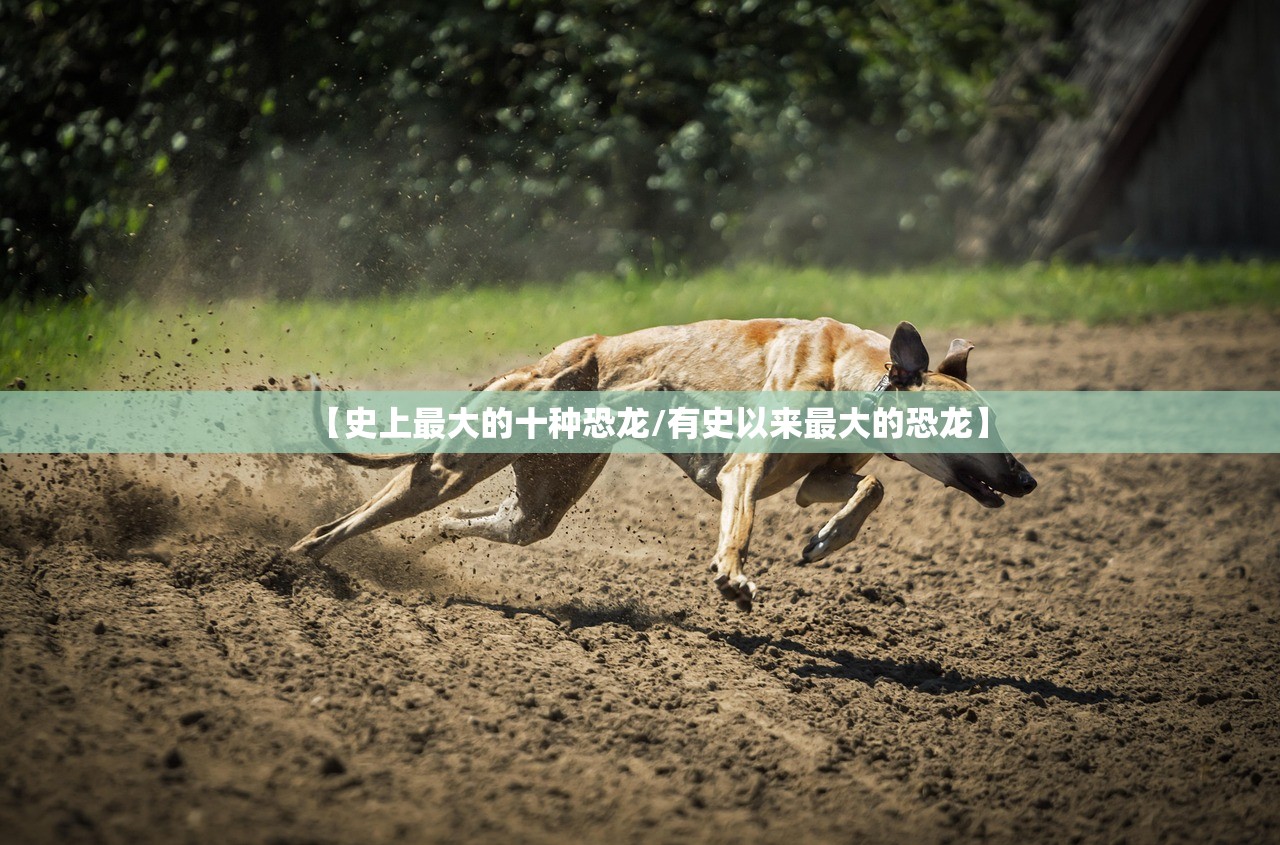 【史上最大的十种恐龙/有史以来最大的恐龙】 【史上最大的十种恐龙/有史以来最大的恐龙】