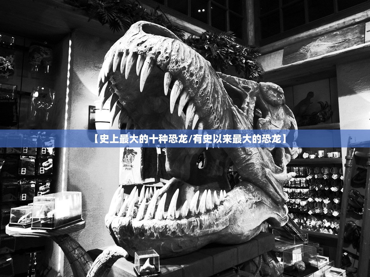 【史上最大的十种恐龙/有史以来最大的恐龙】 【史上最大的十种恐龙/有史以来最大的恐龙】