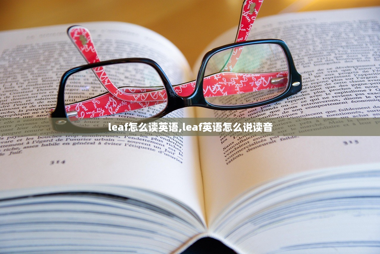 leaf怎么读英语,leaf英语怎么说读音 leaf怎么读英语,leaf英语怎么说读音