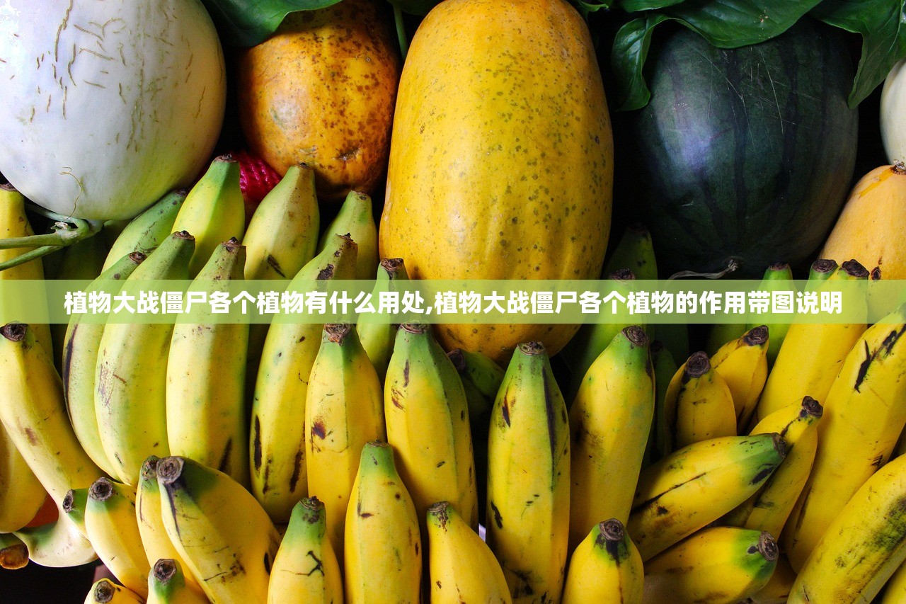 植物大战僵尸各个植物有什么用处,植物大战僵尸各个植物的作用带图说明
