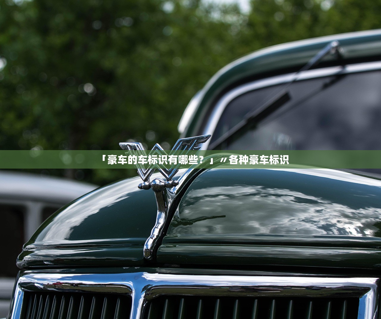 「豪车的车标识有哪些？」〃各种豪车标识