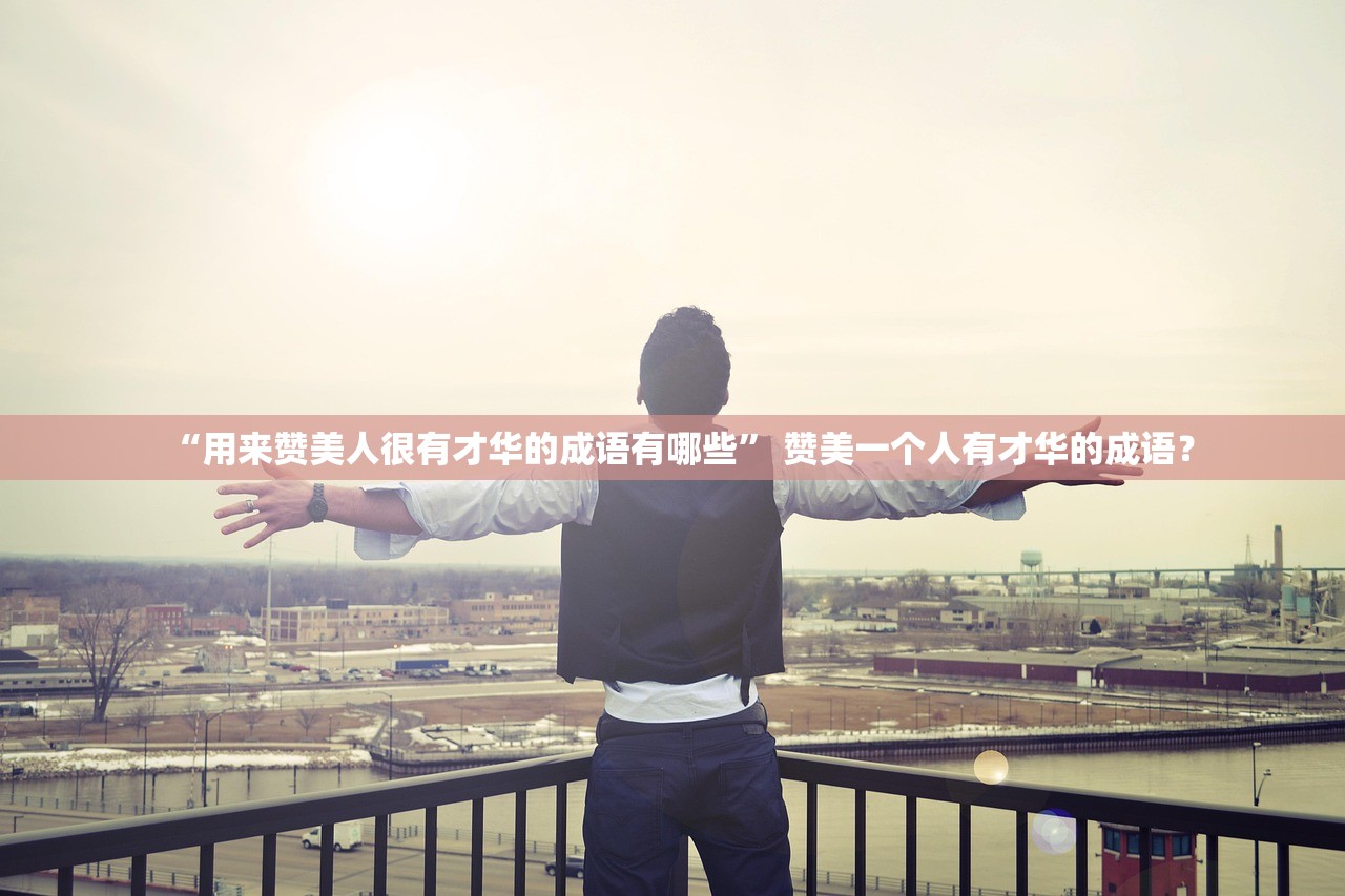 “用来赞美人很有才华的成语有哪些	” 赞美一个人有才华的成语？