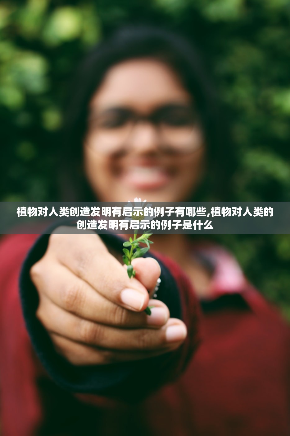 植物对人类创造发明有启示的例子有哪些,植物对人类的创造发明有启示的例子是什么