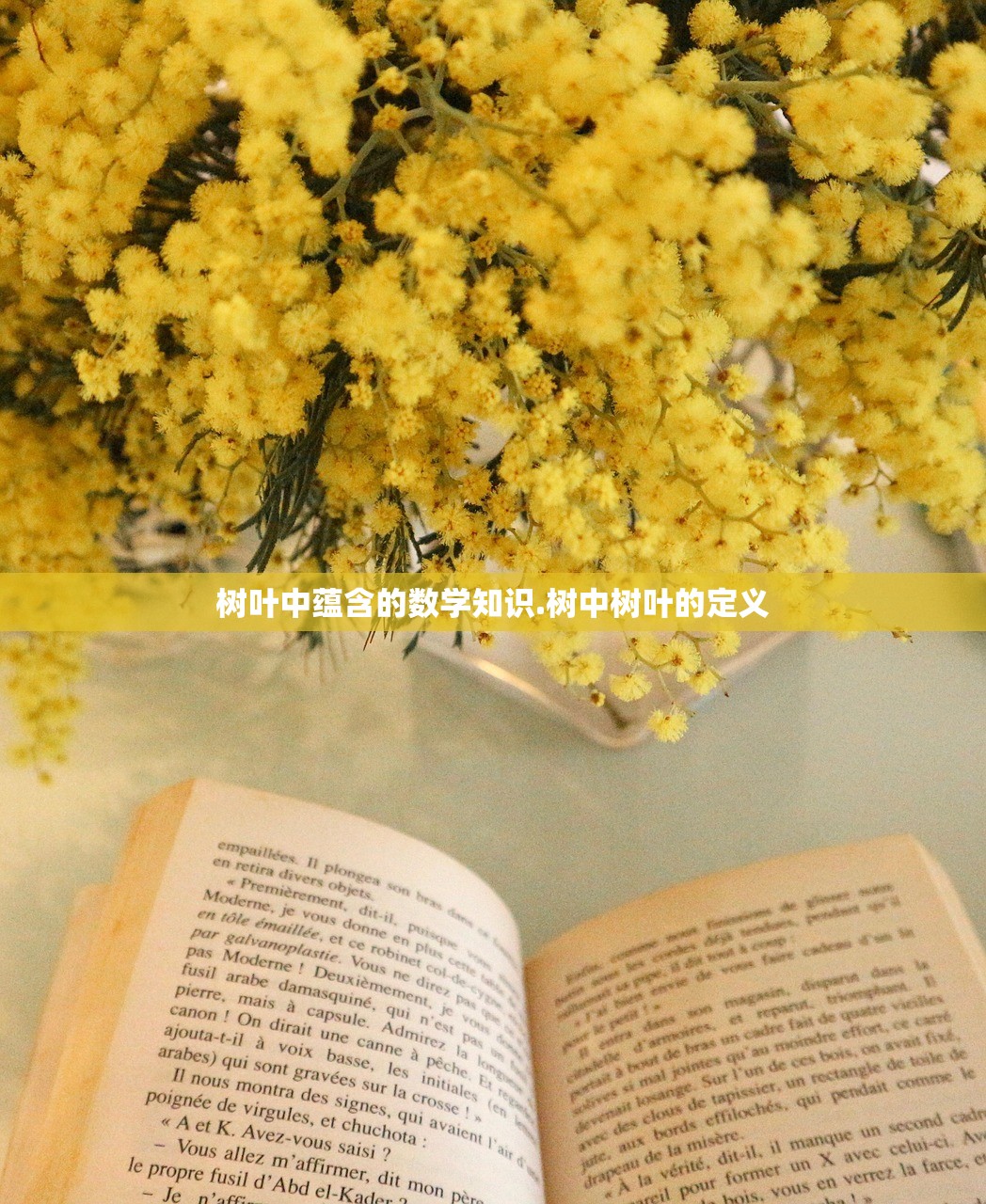 树叶中蕴含的数学知识.树中树叶的定义 树叶中蕴含的数学知识.树中树叶的定义