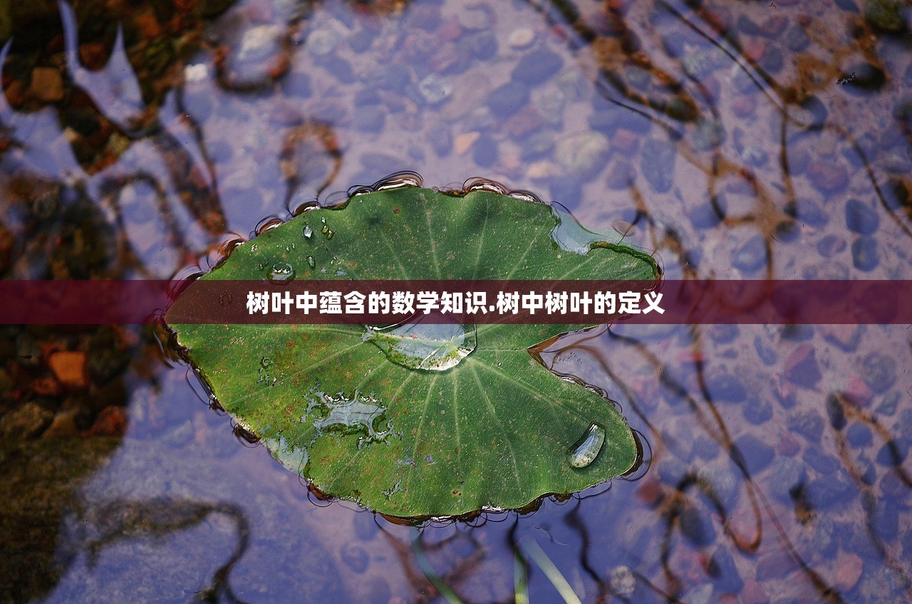 树叶中蕴含的数学知识.树中树叶的定义 树叶中蕴含的数学知识.树中树叶的定义