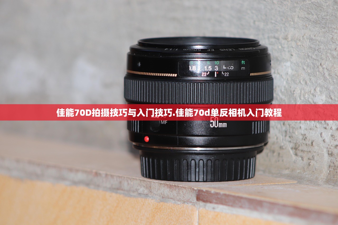 佳能70D拍摄技巧与入门技巧.佳能70d单反相机入门教程 佳能70D拍摄技巧与入门技巧.佳能70d单反相机入门教程