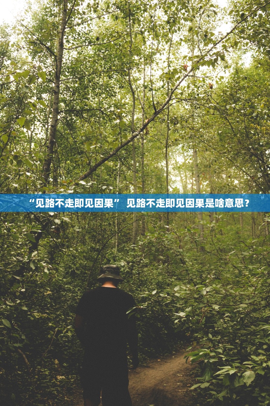 “见路不走即见因果	” 见路不走即见因果是啥意思？