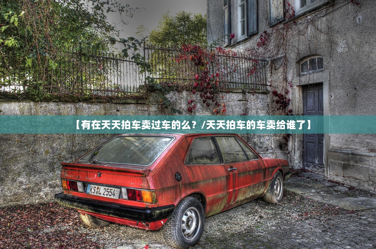 【有在天天拍车卖过车的么？/天天拍车的车卖给谁了】