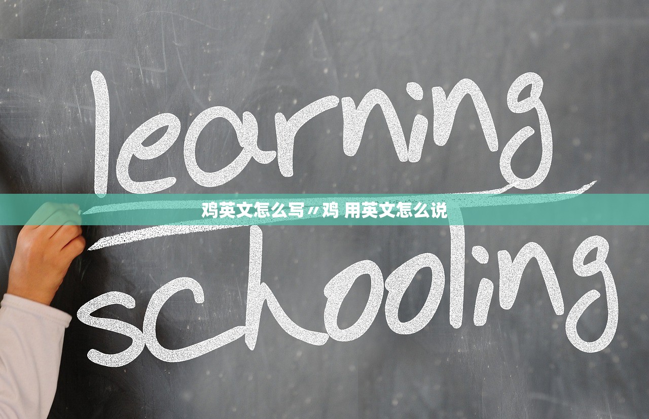 鸡英文怎么写〃鸡 用英文怎么说 鸡英文怎么写〃鸡 用英文怎么说