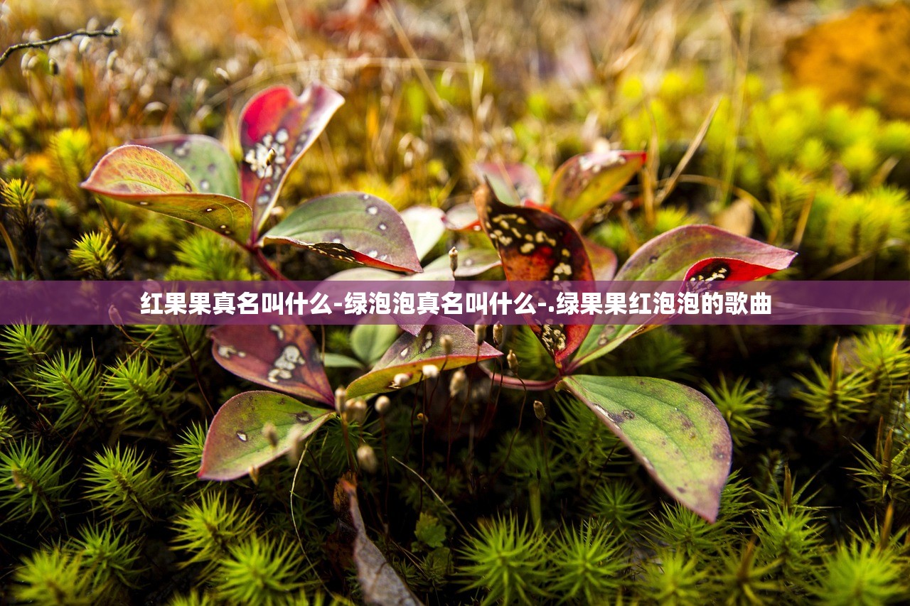 红果果真名叫什么-绿泡泡真名叫什么-.绿果果红泡泡的歌曲