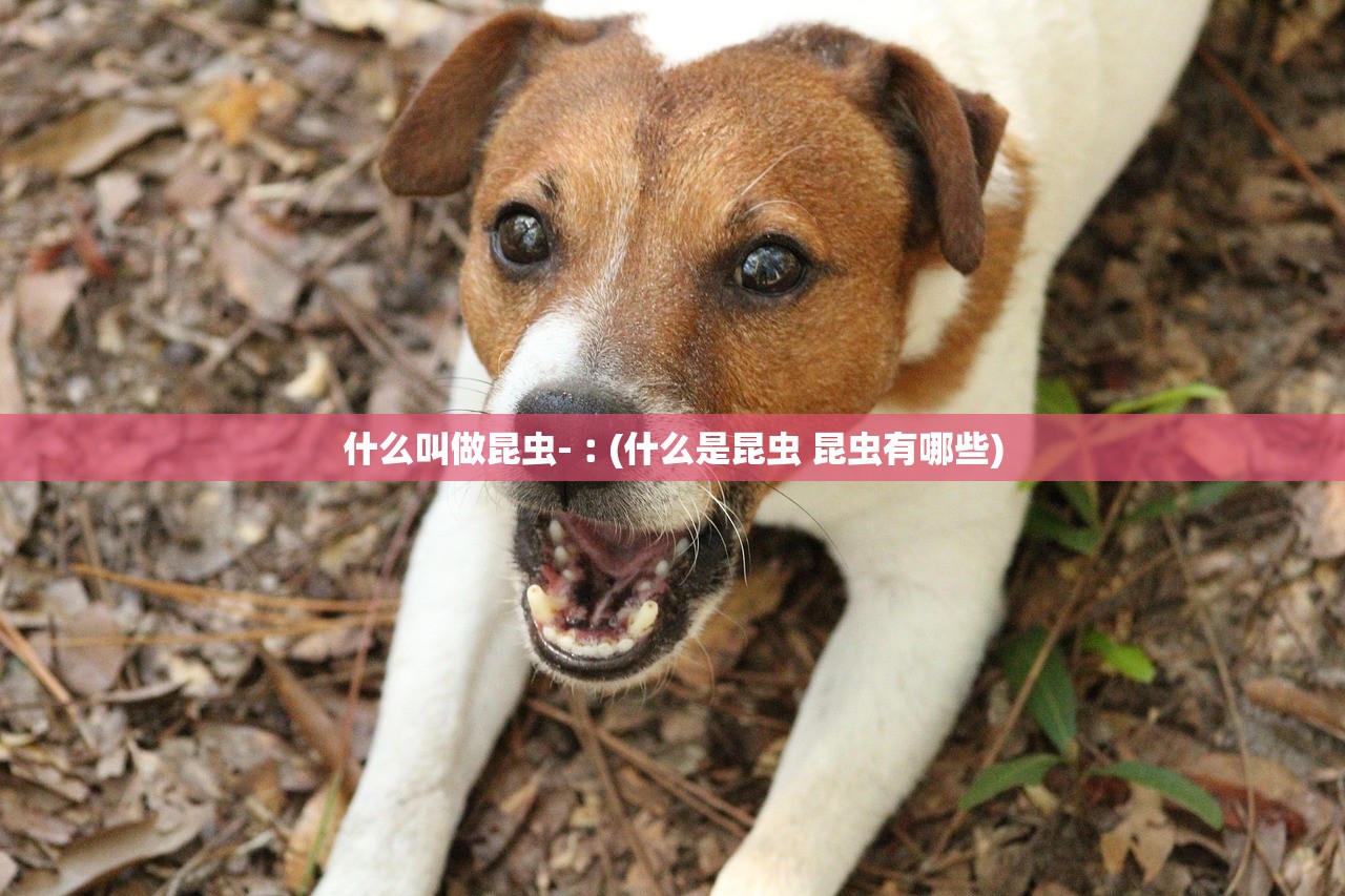 什么叫做昆虫-︰(什么是昆虫 昆虫有哪些) 什么叫做昆虫-︰(什么是昆虫 昆虫有哪些)