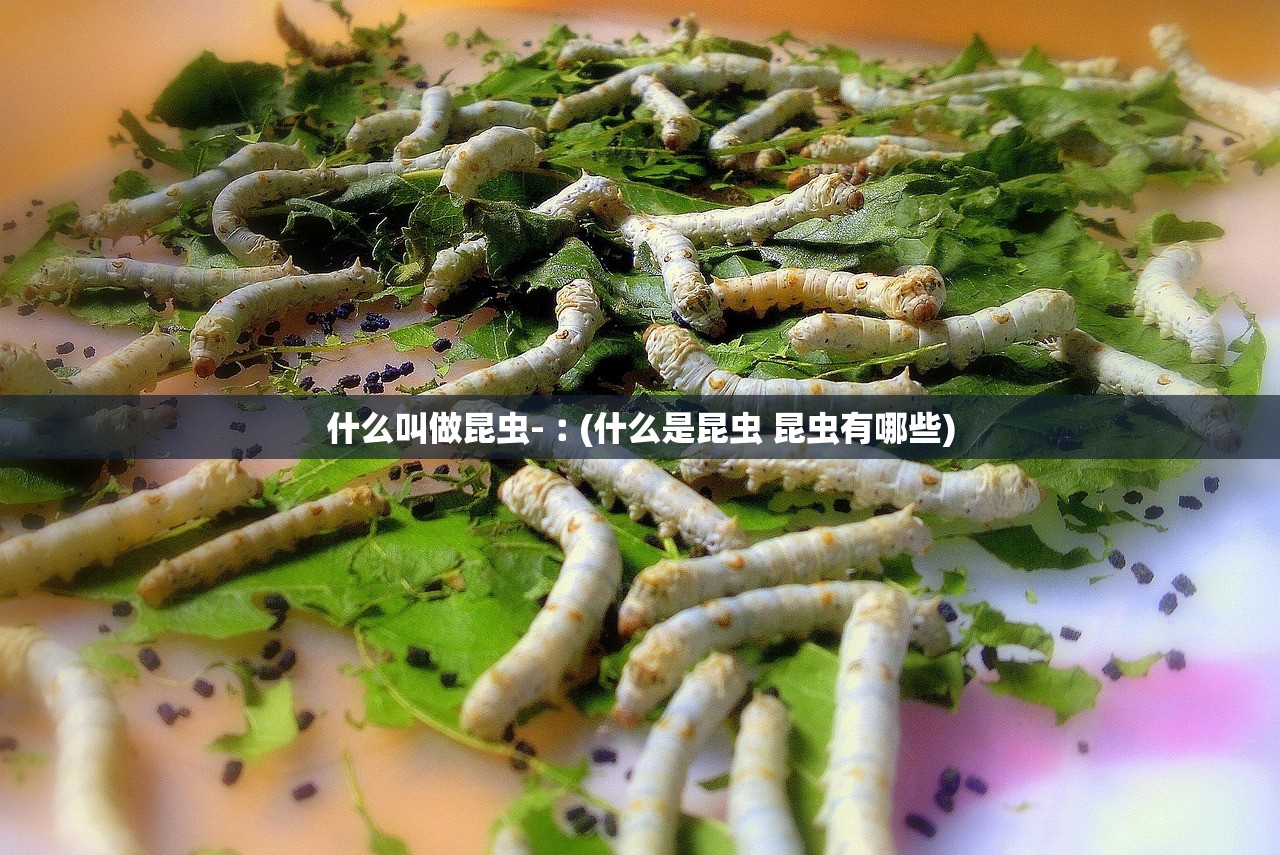 什么叫做昆虫-︰(什么是昆虫 昆虫有哪些) 什么叫做昆虫-︰(什么是昆虫 昆虫有哪些)