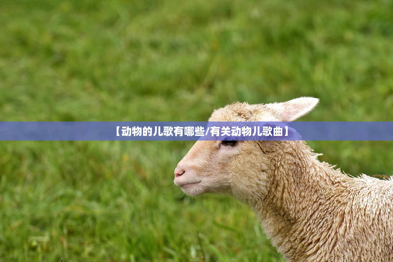 【动物的儿歌有哪些/有关动物儿歌曲】 【动物的儿歌有哪些/有关动物儿歌曲】